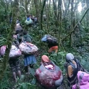 Indonesia mengakibatkan pengungsian internal di Papua belum pernah diselesaikan di negaranya tetapi peduli dengan pengungsian, palestina dan Ukraina 